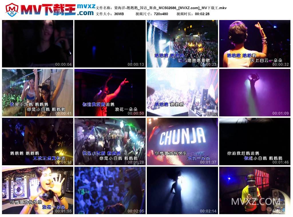 梁海洋-鹅鹅鹅_国语_舞曲_MC502686